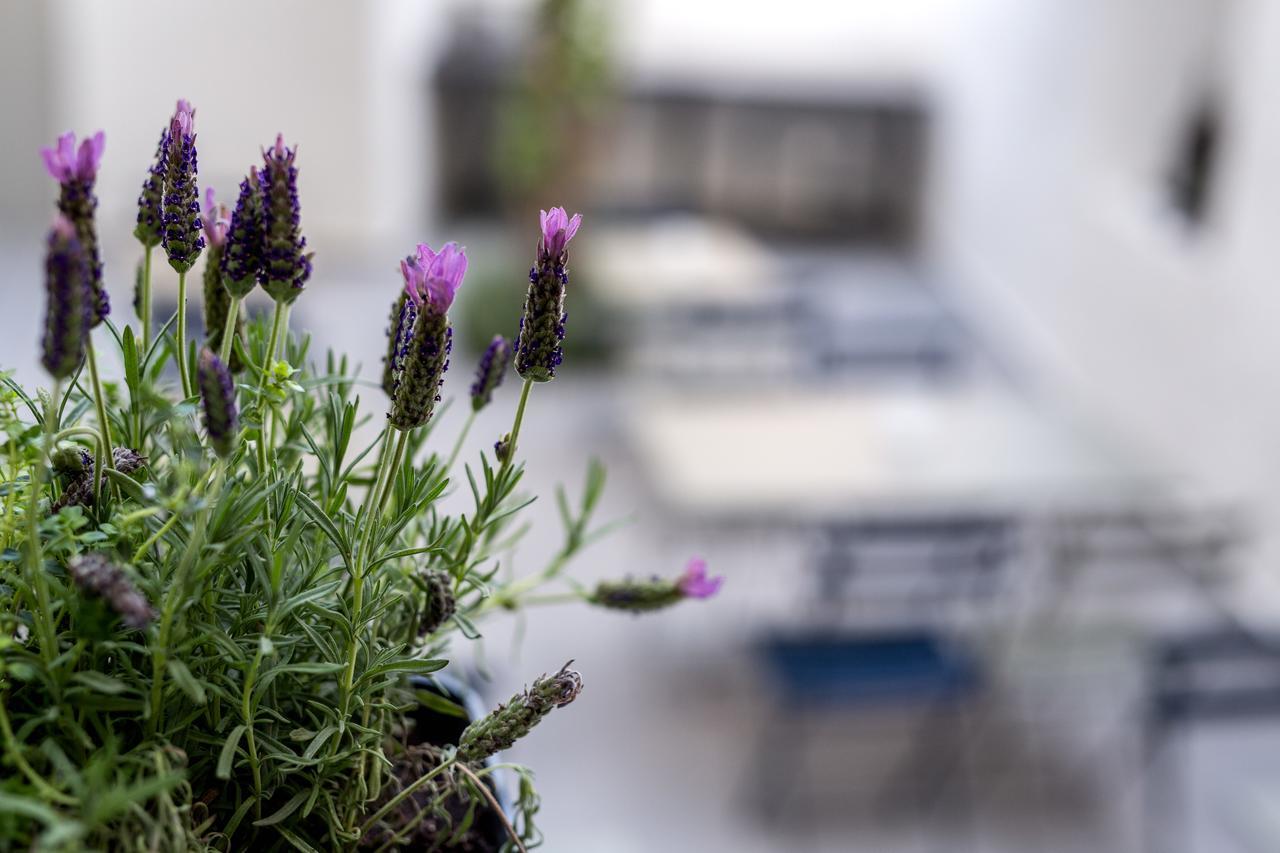 Gambello Luxury Rooms Nafplio Bagian luar foto